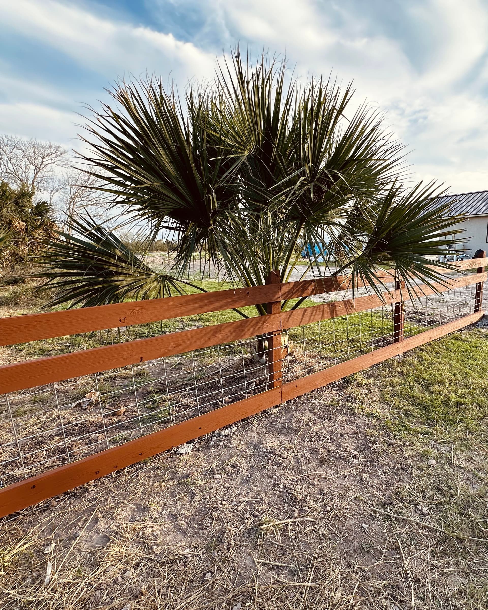 Gallery photos for Ranch Fences: Image #14