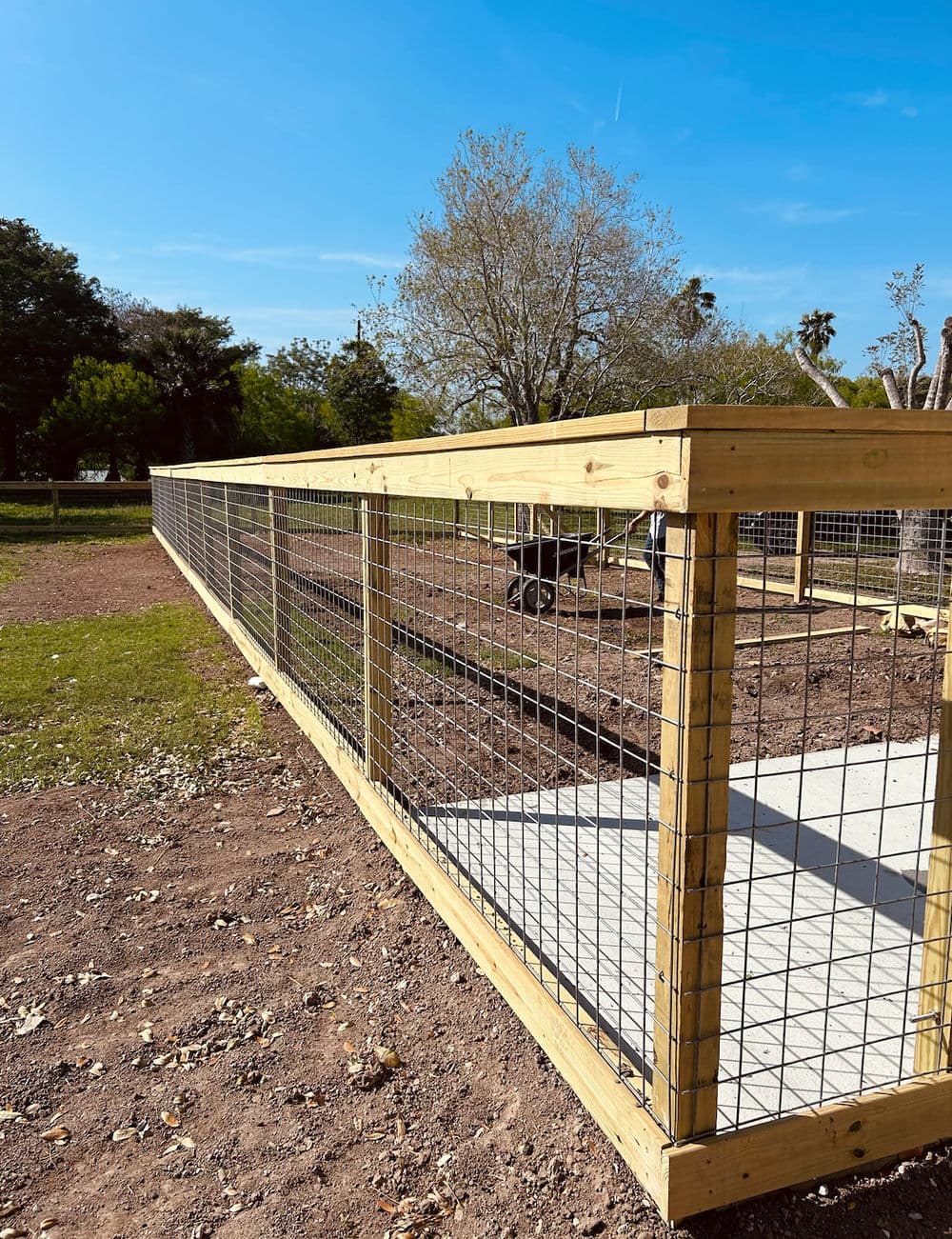 Wooden dog fence with wire mesh in a sunny outdoor setting, surrounded by trees and open space.