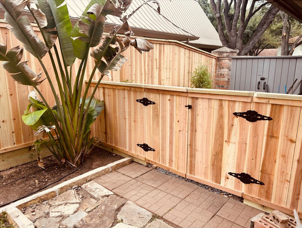 Wooden fence gate with decorative black hardware next to a large tropical plant in a backyard.