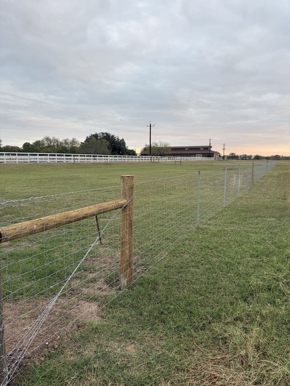 Open pasture with barbed wire fence and wooden posts under cloudy sky.