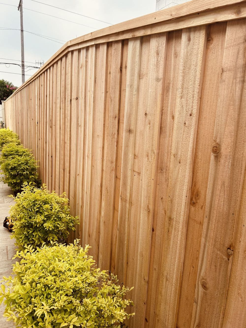 Gallery photos for Wood Privacy Fences: Image #3