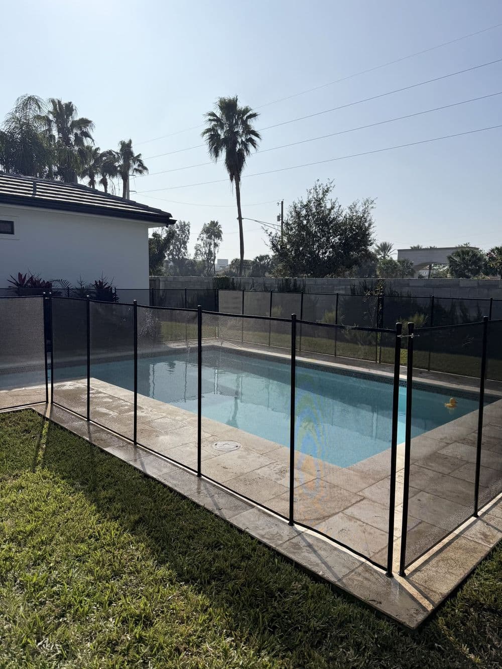 Gallery photos for Pool Fences: Image #7