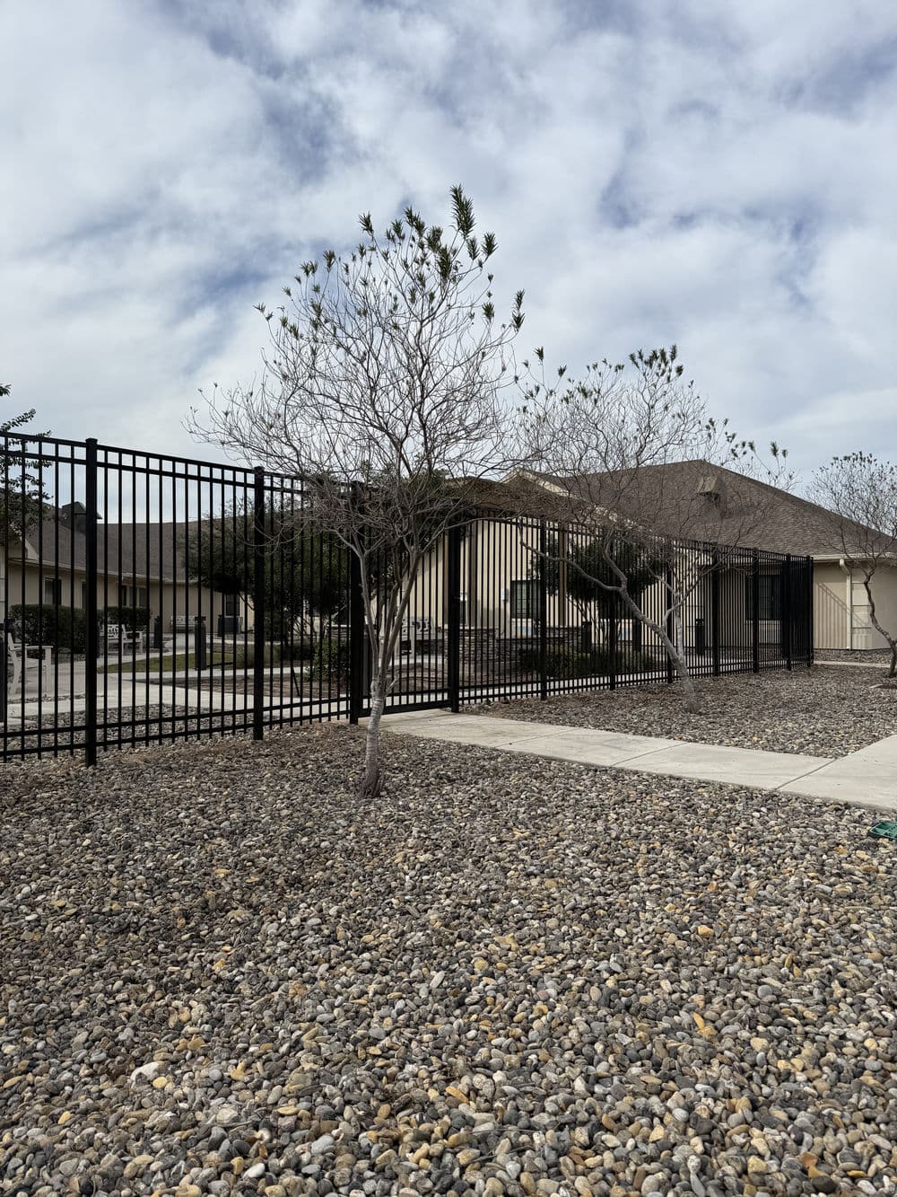 Black metal fence surrounding a landscaped area with a small tree and gravel ground.