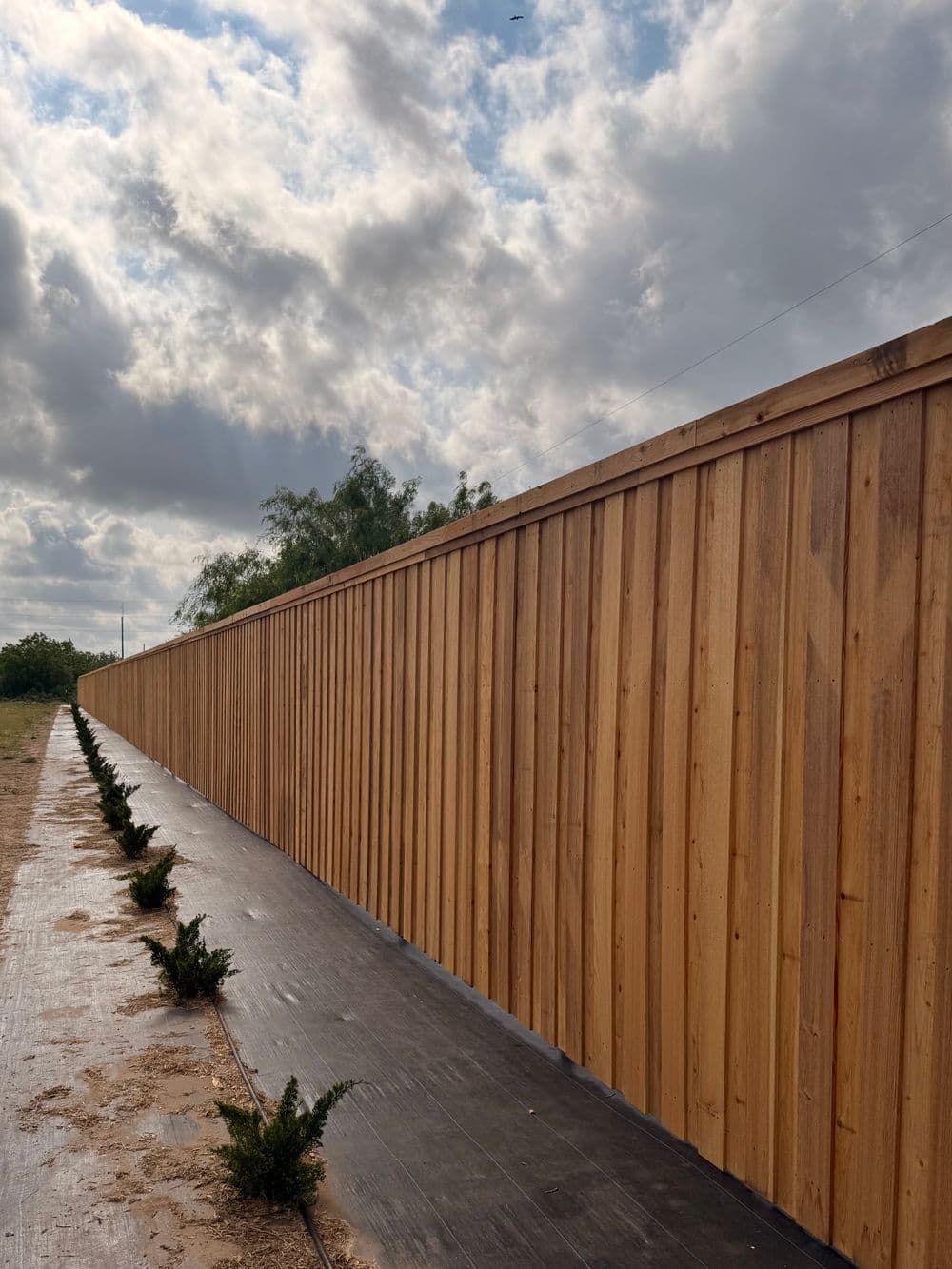 Wooden fence lined with small shrubs under a cloudy sky, leading into an open landscape.